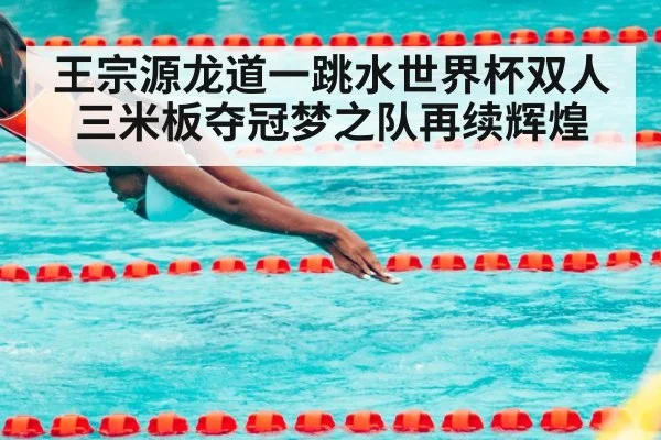 王宗源龙道一跳水世界杯双人三米板夺冠梦之队再续辉煌