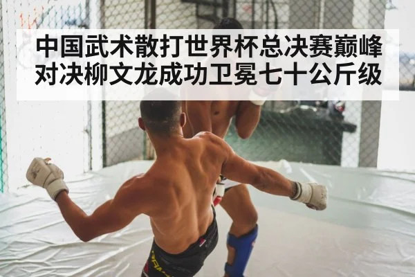 中国武术散打世界杯总决赛巅峰对决柳文龙成功卫冕七十公斤级
